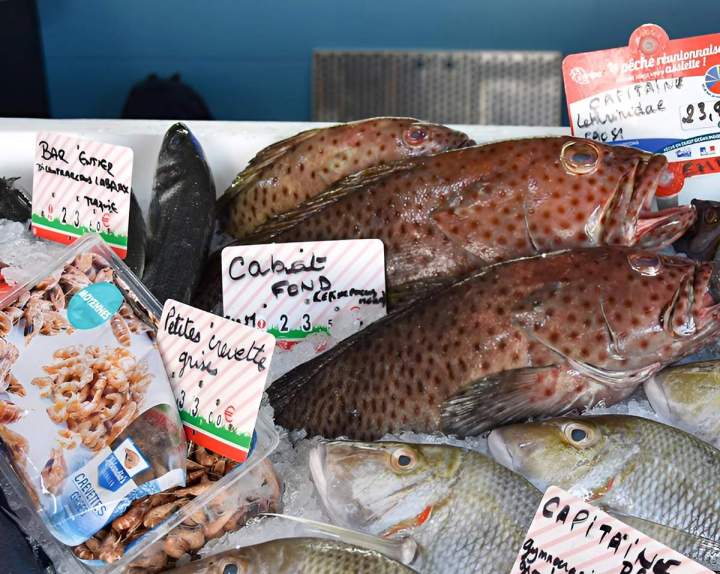 Vente en gros poissons La Réunion