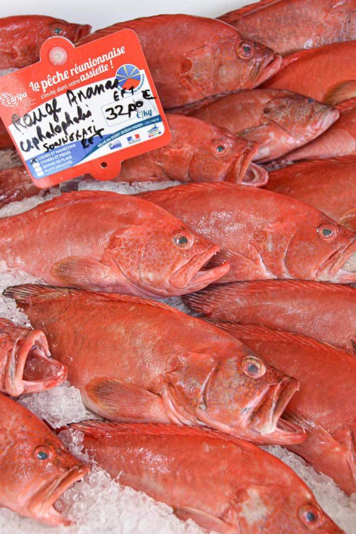 Vente de poissons pour restaurants La Réunion