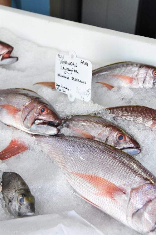 Poissonnerie vente en gros La Réunion