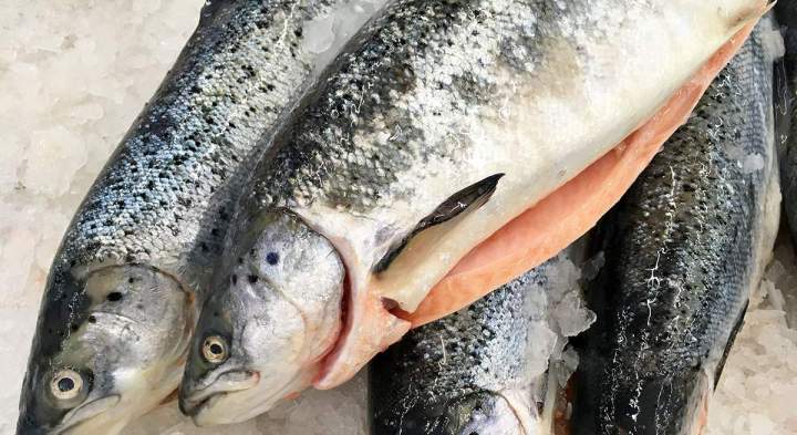 Poissons frais La Réunion