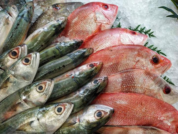 Grossiste marée restaurants La Réunion